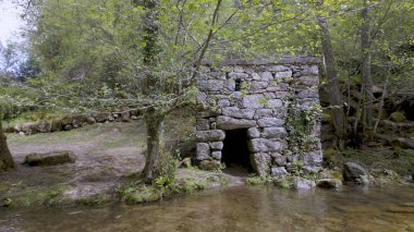 Felgueiras 'ta yumuşak, doğal bir ışık altında, ağaçlar ve yemyeşil ile çevrili, açık bir levada yanında yer alır..