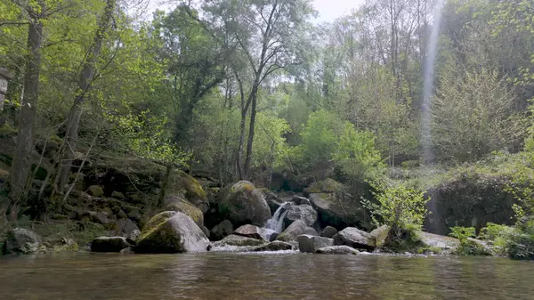 Levadas de Jugueiros 'ta, yumuşak, doğal bir ışık altında yemyeşil ağaçlarla çevrili, yosun kaplı kayaların üzerindeki küçük şelaleler levada' ya dönüşür..