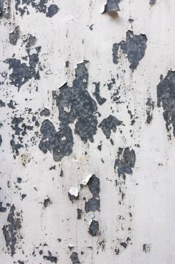 Yıpranmış beyaz boyanmış metal bir yüzey soyulma ve pul pul pul dökülme gösteriyor. Bu da soyut ve sıkıntılı bir desen altında koyu gri dokuları ortaya çıkarıyor..