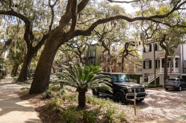 Savannah, Georgia - 19 Şubat 2023: Savannah Georgia 'nın tarihi bölgesinde Jones Caddesi manzarası.