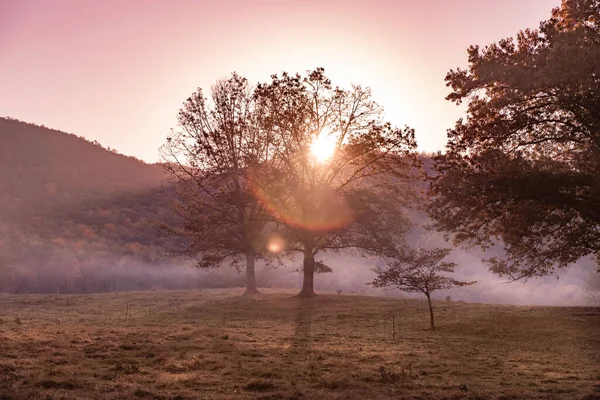Prachtige Ochtend Licht Mist Het Veld Met Bomen Bergen Gezien — Stockfoto