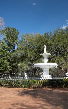 Savannah Georgia 'nın tarihi bölgesindeki Forsyth Park' ta çeşme manzaralı.