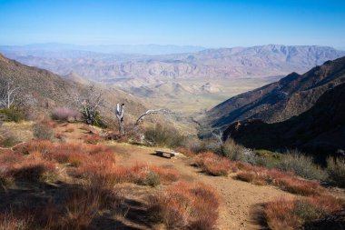Beautiful nature vista with bench overlooking Cuyamaca Mountains in Julian California clipart