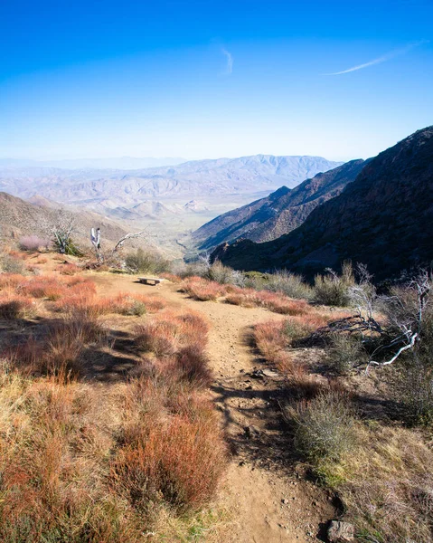Piękny Widok Natury Ławeczką Widokiem Góry Cuyamaca Julian California — Zdjęcie stockowe