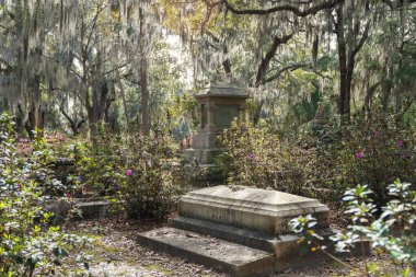 Savannah, Georgia - 20 Şubat 2023: Mezarları ve manzaralı tarihi Bonaventure Mezarlığı manzarası. 