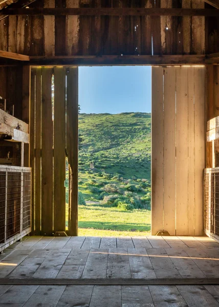 Вид Зеленый Ландшафт Изнутри Дверного Проема Деревенского Сарая — стоковое фото
