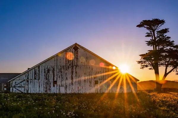 Morning Sunshine Historic Barn Pierce Point Ranch Port Reyes California — Stock Photo, Image