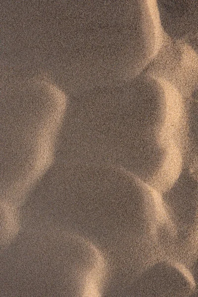 Närbild Detalj Utsikt Över Sand Sanddyner Vid Stranden — Stockfoto