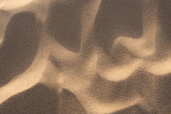 Close Detail View Sand Sand Dunes Beach — Stock Photo, Image