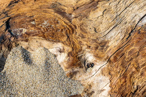 우드와 모래는 자연의 모습을 자세히 보여준다 — 스톡 사진