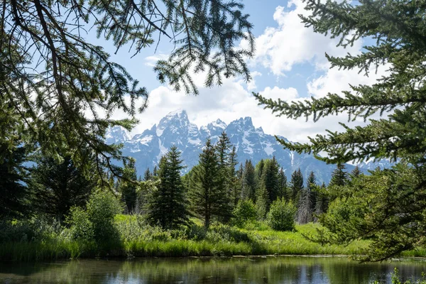 Beautiful Landscape Scene Grand Teton National Park — Stock Photo, Image