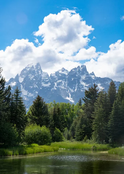 stock image Beautiful landscape scene from Grand Teton National Park