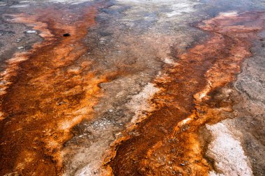 Doku, Wyoming 'deki Yellowstone Ulusal Parkı' ndan görülen jeotermal gayzerden oluşmuştur..
