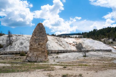 Yellowstone Ulusal Parkı, Wyoming 'deki Mamut Kaplıcaları manzarası 