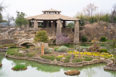 Taştan köprüler, kio havuzu ve pagoda içeren Japon Çay Bahçesi Parkı, San Antonio Texas. Peyzaj gezisi resmi