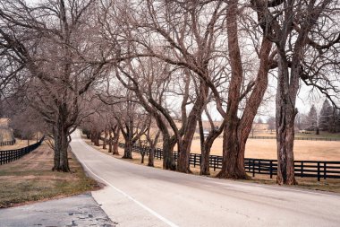 Kentucky 'den görünen çıplak ağaçlar ve yollar ile kırsal alan