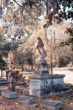 Savannah, Georgia - 20 Şubat 2023: Savannah Georgia 'daki tarihi Bonaventure Mezarlığı.