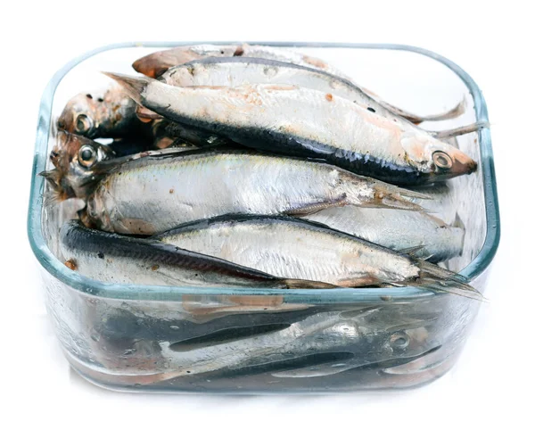 Salted Fine Brine Small Ocean Fish — Stock Photo, Image