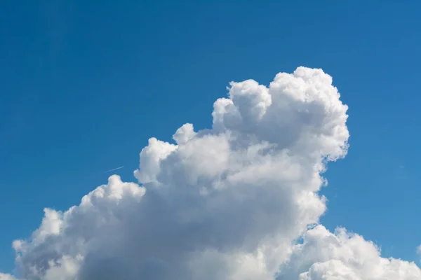Sample Cumulus Clouds Background Foto Stock Royalty Free