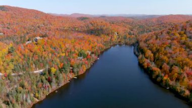 Göl ve sonbahar yeşillik renklerinin hava görüntüsü. 4K kamera dronu çarpıcı sonbahar yeşillik renklerini ve tenha göl evlerini yakalıyor..