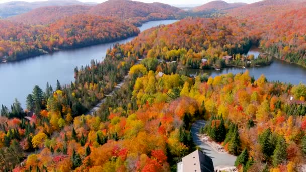 秋の季節の葉の色の空中パノラマビューと隠された湖の家 4Kカメラのドローンは 見事な秋の葉の色と隠された湖の家をパノラマビュー — ストック動画