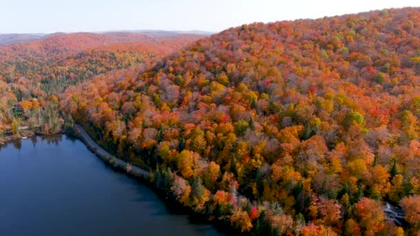Vista Aérea Lago Caída Temporada Follaje Colors Drone Cámara Captura — Vídeos de Stock
