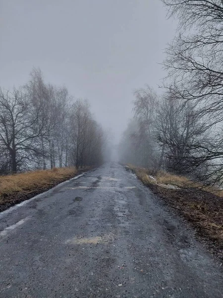 Sisin içindeki eski yol Ormanın içinden
