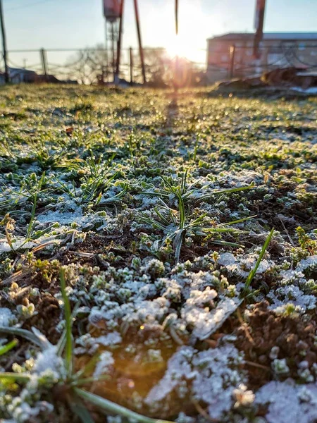 草地上结霜 树叶上结霜 — 图库照片