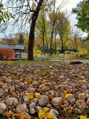 Autumn view of small lake with charming gazebos