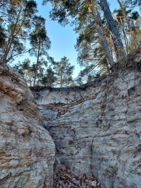Yüksek kumlu uçurum dramatik doğal kıyı şeridi