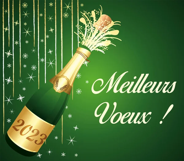 Minden Jót Francia Nyelv Arany Zöld Boldog Újévet Üdvözlő Kártya — Stock Vector