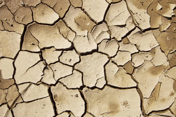 Текстура Тріщин Сухої Землі Символ Зміни Клімату — стокове фото