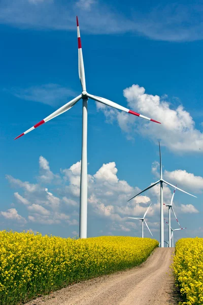 天気の良い日に菜の花畑の風力発電機 クリーンエネルギー 再生可能エネルギー源 ストック画像