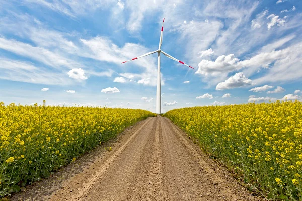 天気の良い日に菜の花畑の風力発電機 クリーンエネルギー 再生可能エネルギー源 ロイヤリティフリーのストック画像