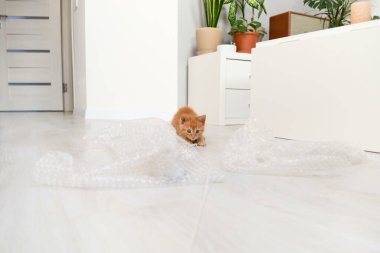 Parlak dairede küçük kırmızı kedi yavrusu baloncuk ambalajı ve iple oynuyor.