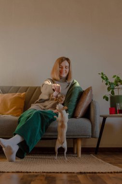 Woman playing with small dog sitting on sofa. Home life.