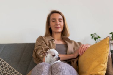 Small dog sleeping on lap of woman sitting on couch.