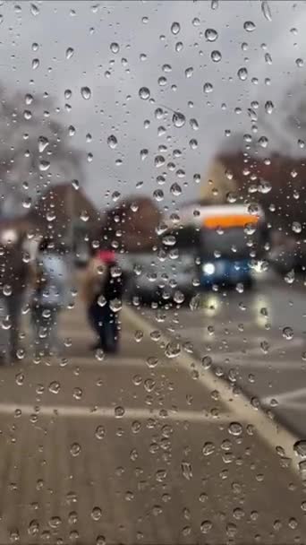 European Bus Stop Urban Transportation Rainy Weather — Stock Video