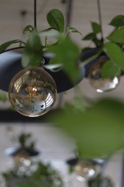 Kolye ışıkları canlı yeşil bitkilerin arasında zarif bir şekilde asılı, doğal ışıkla dolu şık bir mekanda sıcak ve davetkar bir atmosfer yaratıyor..
