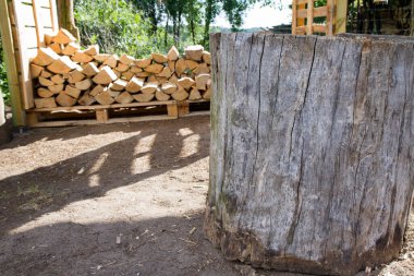 Kışa hazırlanmak için bir kulübede yakacak odun yığınıyla odun kesmek.