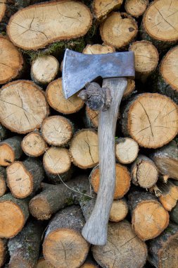 Ağaç gövdeleri, yakacak odun için doğranmayı bekliyor, üzerinde bir balta var.