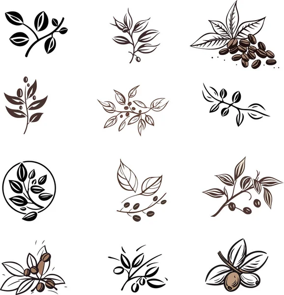Set Abstract Twigs Coffee Fruits Grains Isolated White Background Design — Stock Vector