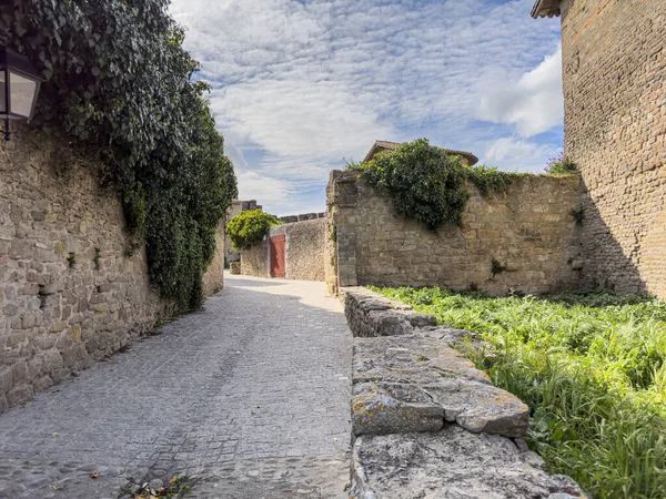 Unesco Nun Dünya Mirasları Listesine Yazılan Eşsiz Ortaçağ Carcassonne Kalesi — Stok fotoğraf