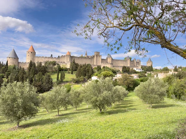Unieke Middeleeuwse Vesting Van Carcassonne Aude Frankrijk Ingeschreven Unesco Lijst — Stockfoto