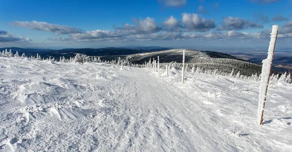 捷克共和国的Jeseniky山 有杆状斑纹的山路和Serak山的雪地森林冬季美景 — 图库照片