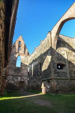 Rosa Coeli, kilise ve manastır kalıntıları, Ivancice kasabası yakınlarındaki Dolni Kounice, Güney Moravya, Çek Cumhuriyeti