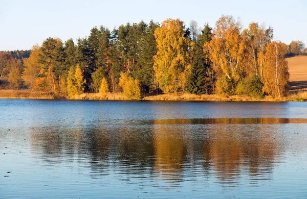 Осенний Вид Пруд Отражением Красочного Осеннего Лесного Ландшафта Пруд Дивка — стоковое фото