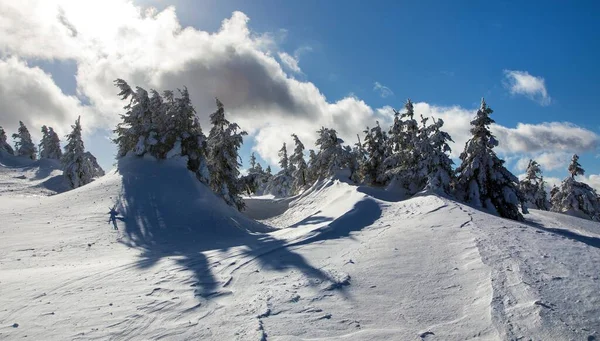 捷克共和国Jeseniky山区雪地森林冬季美景 — 图库照片