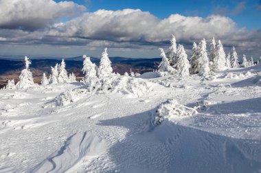 Dağlardaki karlı ormanın güzel kış manzarası, Jeseniky dağları - Çek Cumhuriyeti 