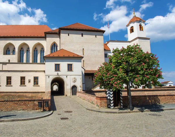 stock image Spilberk Castle, monument of the city of Brno with a pink chestnut tree in the foreground, Moravia, Czech Republic